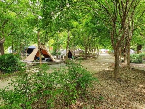 열대야 비켜라…광주 도심서 즐기는 한여름 밤 피서지 추천