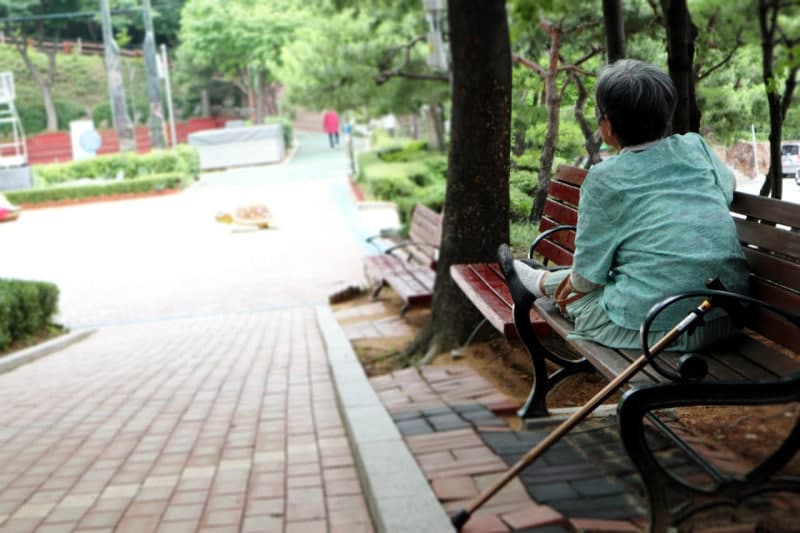 치매관리주치의 시범사업, 치료 지속성 높이고 증상 완화 효과 입증
