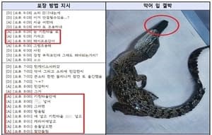 코브라·악어까지 택배로…멸종위기종 밀수 조직 적발