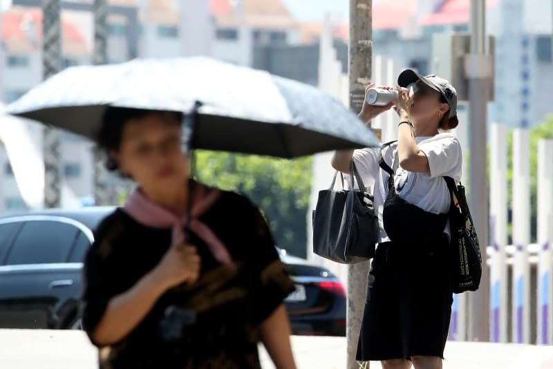 서울 온열질환자 누적 348명…폭염 경보 단계 조정