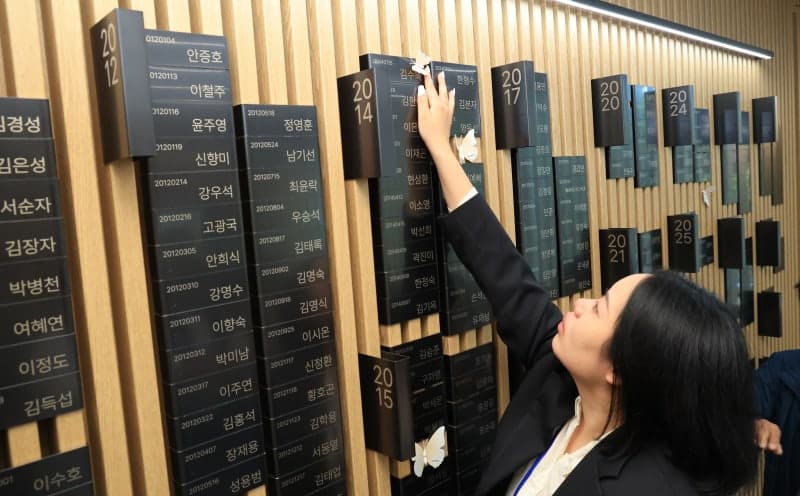 뇌사자 장기기증 3년 만에 반등…상반기 35% 증가