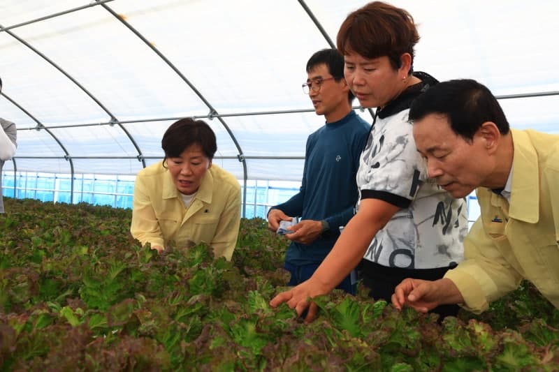 송미령 농식품부 장관, 전북 익산 찾아 폭염 피해 예방 현장 점검
