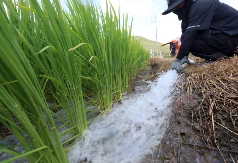 밀양 농업용수 가뭄 ‘심각’ 격상…전남광주도 위기 고조