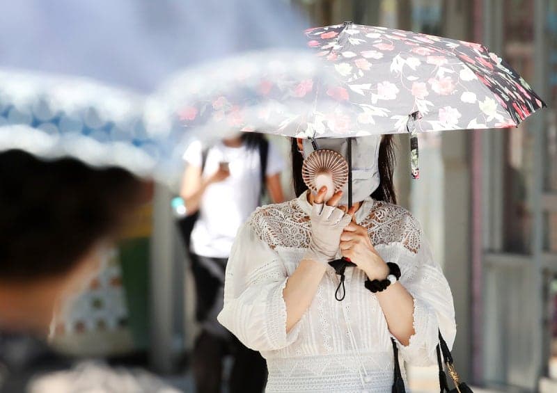 전국 폭염·열대야 속 동해안 폭우…극과 극 날씨