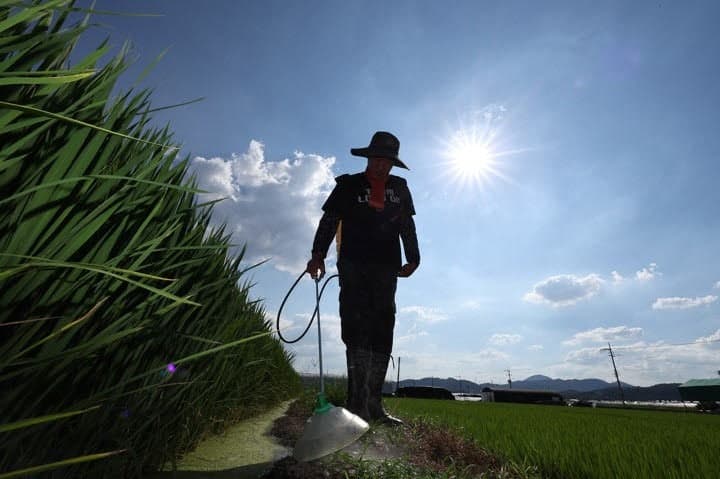 폭염 장기화에 범정부 대응 총력…취약계층 안전관리 강화