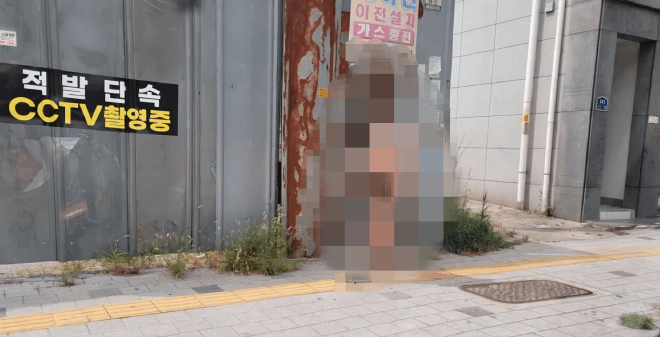 전자발찌 찬 채 대구 도심서 나체로 활보한 50대 남성 검거