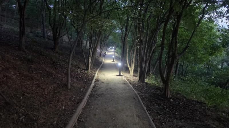 대구 범어공원 순환산책로, 459개 조명 설치로 야간 산책 안전해진다
