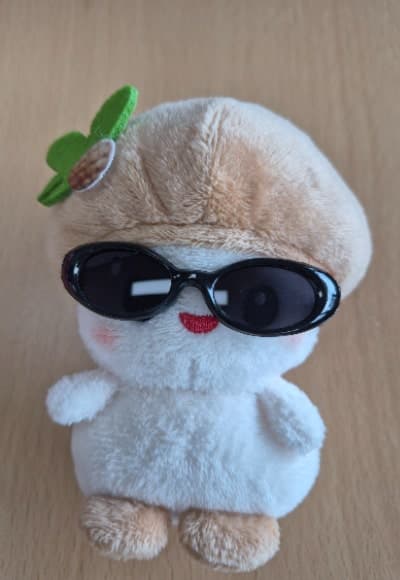 양양군, 송이·연어 활용한 전문 요리 인재 양성 및 창업 지원