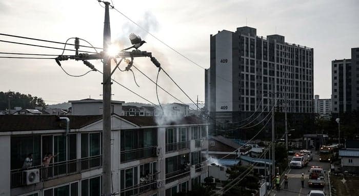 충남 태안 동문리 일대 정전…까치 등 조류 접촉으로 915가구 불편