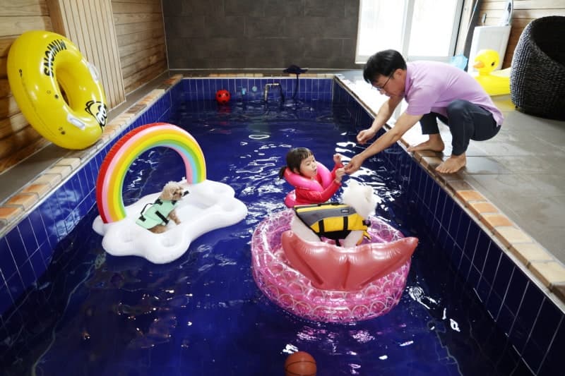 반려견과 태안 여행 떠나볼까? 숙박·캠핑 최대 3만원 할인