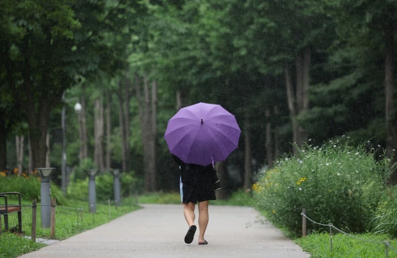 서울시, 경의선숲길 사용료 421억 최종 패소