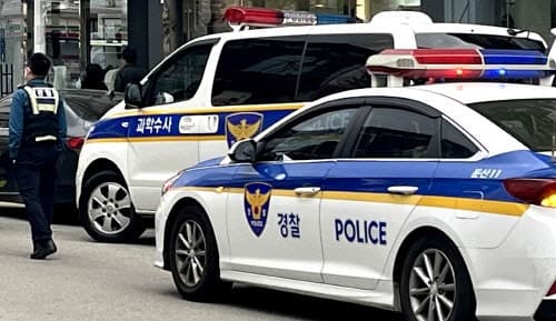 대전 도심서 나체로 흉기 들고 배회한 60대 남성 현행범 체포