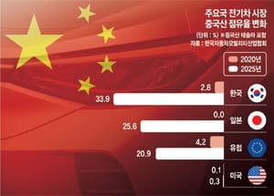 미국 딜러 업계 "중국차 진입 원천 차단해야"… 한국은 점유율 급증에 비상