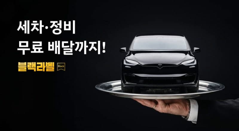 쏘카, 테슬라·BYD 전기차 900대 도입…연말까지 전기차 비중 14% 확대
