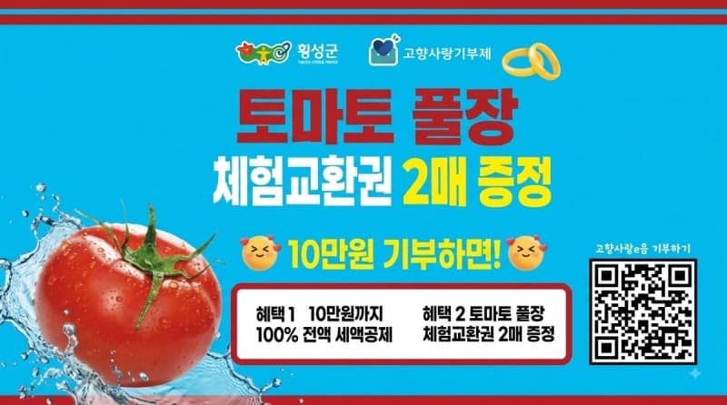 10만원 기부하고 토마토 풀장에서 금반지 찾자…횡성군 축제 한정 답례품 출시
