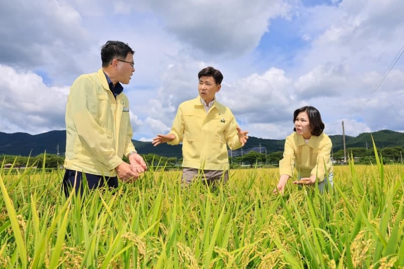 폭염·가뭄 장기화에 전국 지자체 비상…농업용수 확보 총력 대응