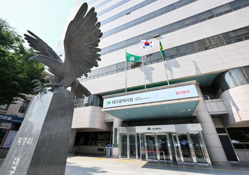 대구 남구서 소나무재선충병 발생…'대구의 허파' 앞산 인근 긴급 방제