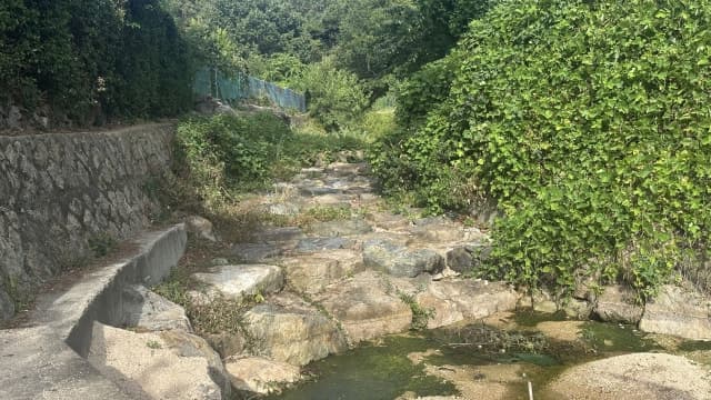 역대급 가뭄에 부산 농가·마을 비상…소방차 동원해 긴급 급수 지원