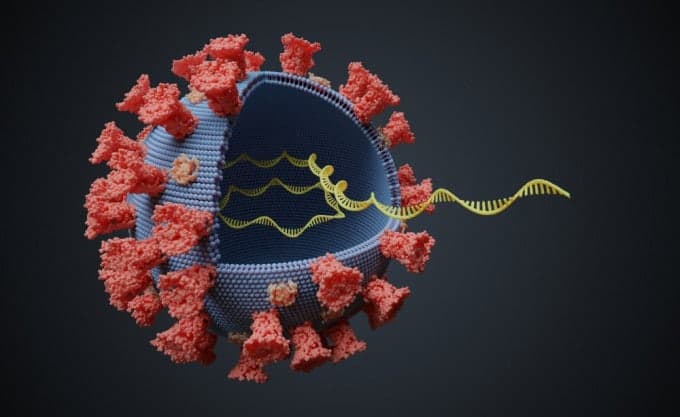 김빛내리팀, 바이러스 전략으로 mRNA 수명 3배 연장