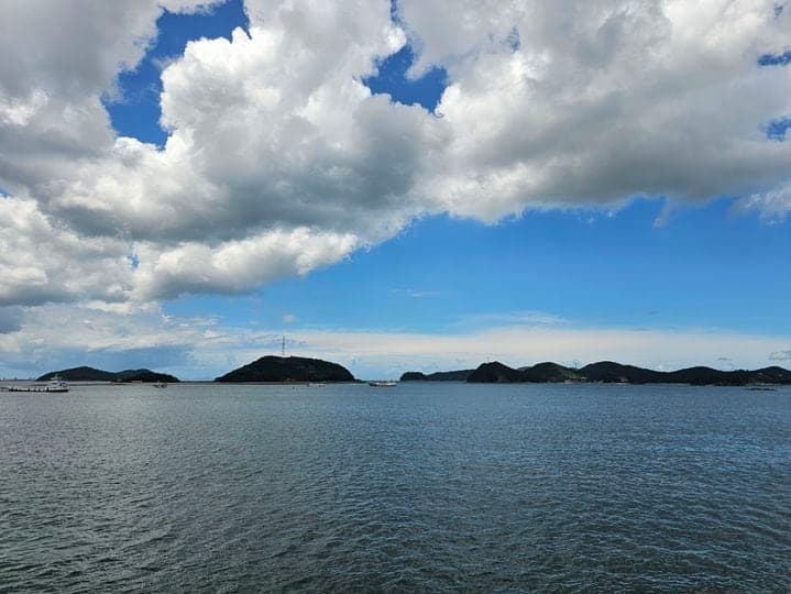 충남 당진 도비도항서 해루질하던 남녀 2명 바다에 빠져 사망