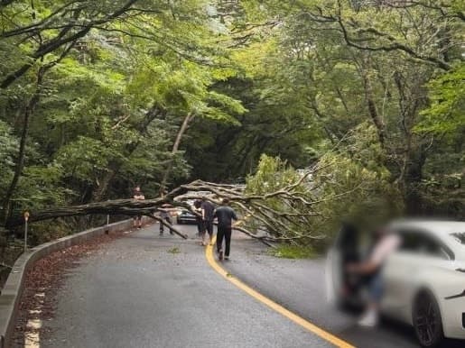 제주 전역 호우특보 발효…오늘 밤까지 최대 100mm 이상 폭우