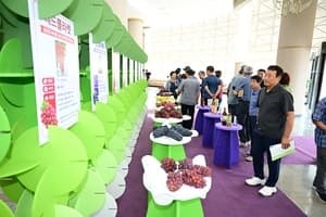 ‘체류형 여름축제’로 변신한 2026 김천포도축제, 10만 명 방문