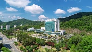원주시, 민선 9기 공약 119개 과제 구체화…시민 체감 성과 창출 나선다
