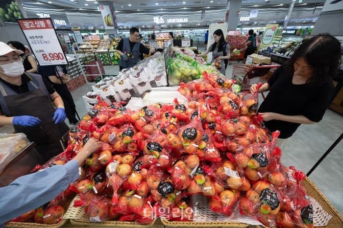 폭염과 가뭄에도 사과·배 수급 안정…단감은 생산 감소 우려