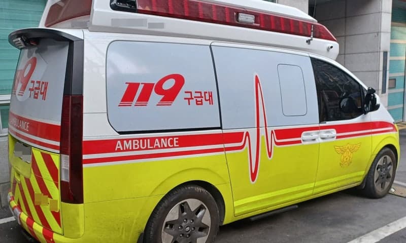 부산 강서구서 현수막 정비하던 60대, 벌에 쏘여 의식불명