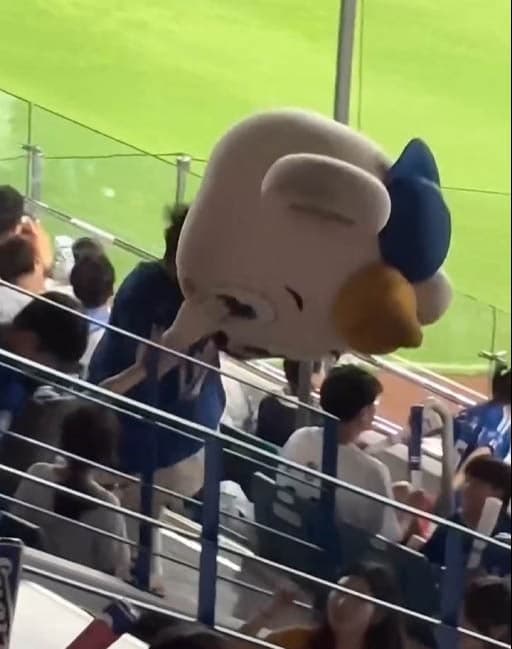 마스코트 '라온이' 밀친 관중 논란에 부친 "철없는 행동 사과"