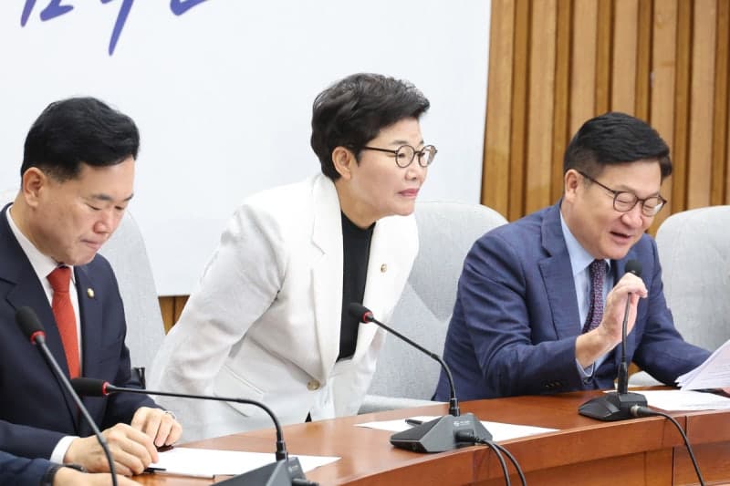 임이자 국민의힘 정책위의장, 용산공원 주택 공급 논의 중단 및 민간 재개발 활성화 제안