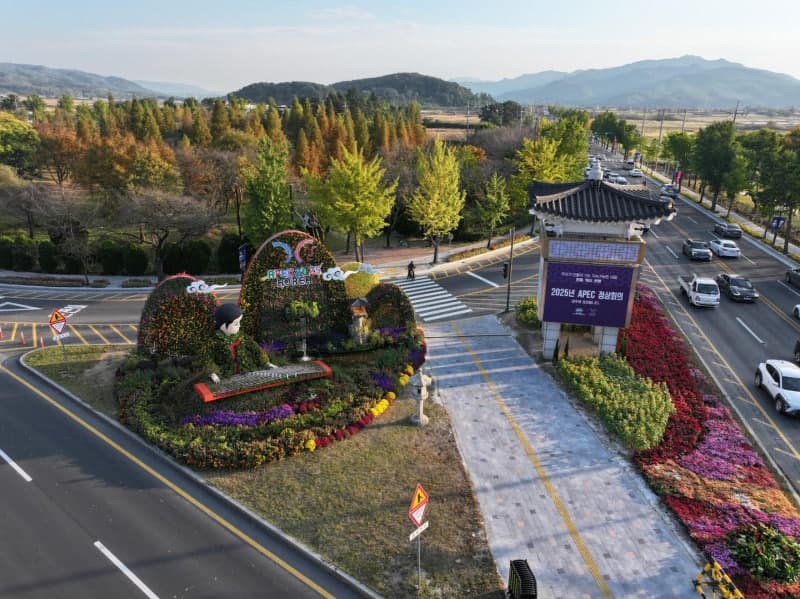 경주·포항, 산림청 가로수 우수사례 선정…전국이 인정한 도시숲 경쟁력