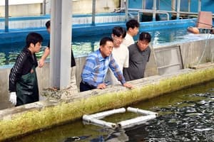 역대급 폭염 이겨낸 산천어…2027 화천산천어축제 준비 이상 없다