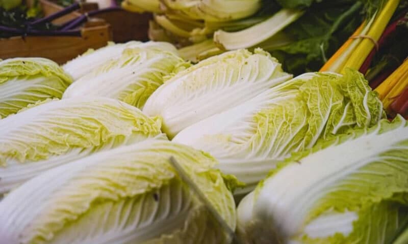 中 '발암물질 배추' 파문 확산…정부 특별조사