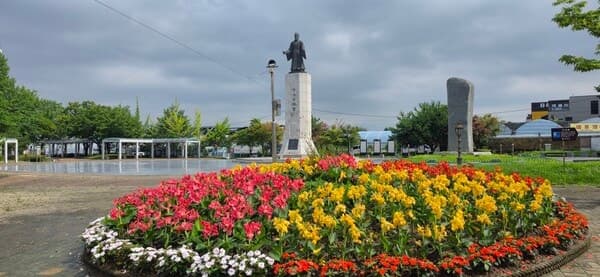 구리시, 시립양묘장서 기른 가을꽃 12만 본으로 도심 물들인다