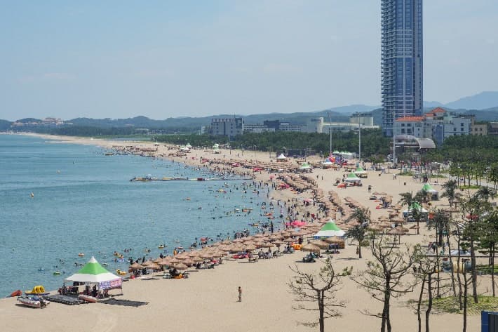 양양 해수욕장 피서객 29% 급증…낙산해변 야간 개장 효과 톡톡
