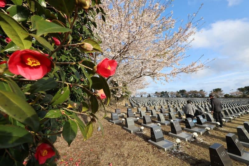제주4·3 희생자 349명 추가 인정…무호적 희생자 첫 가족관계등록