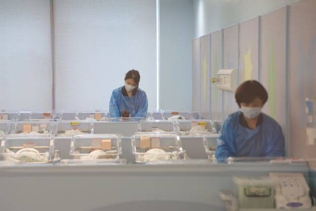 출생아 24개월 연속 증가…합계출산율 0.8명대 회복