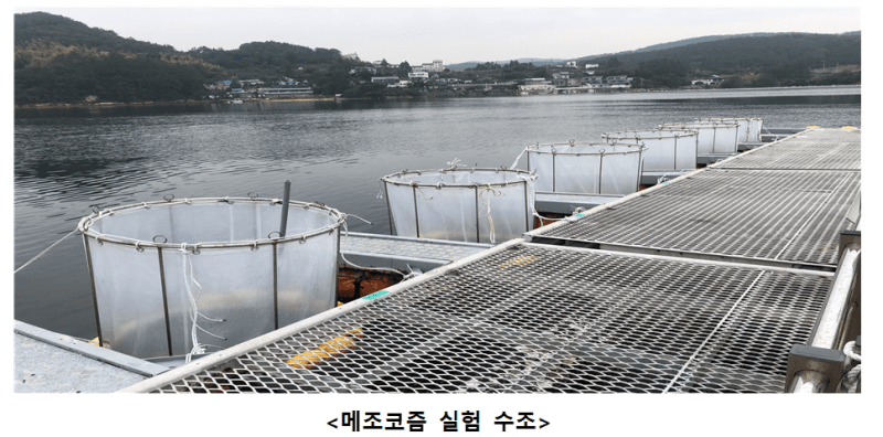 물보다 가벼운 미세플라스틱, 심해로 끌고 가는 범인은 ‘식물플랑크톤 점액’