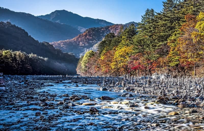 ‘님의 침묵’ 출간 100주년 기념, 백담계곡 순례길 걷고 만해 단풍나무 숲 조성한다
