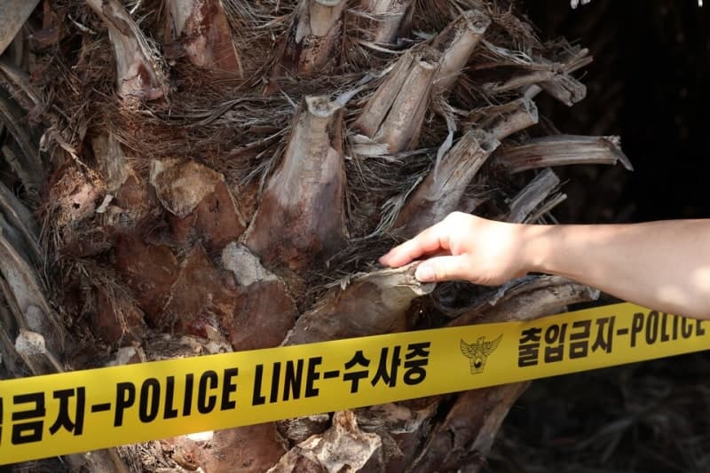 제주 실종 허위 종결 경찰관 구속…수사 시스템 전반 점검