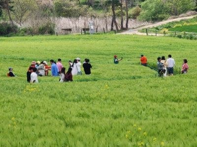 고창 ‘반띵여행’으로 체류형 관광 전환…지역경제 활력 더한다