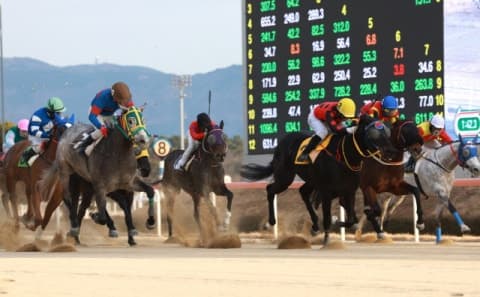 한국마사회 영남지역본부, 9월부터 부산경남·영천 권역형 순회경마 시작