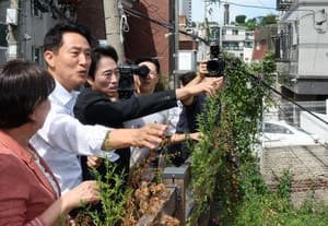 서울시, 모아주택 등 소규모 정비사업에 최대 20억 저리 융자 지원