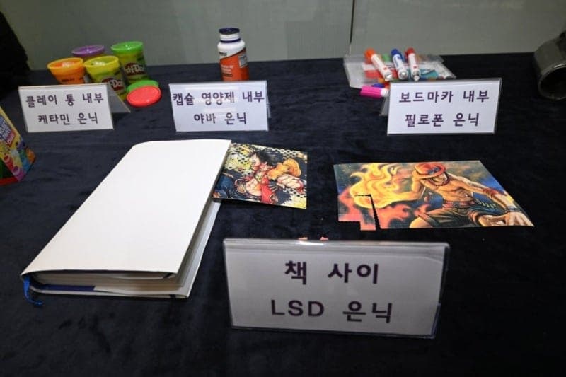 해외 도피 마약 밀수사범 3명 국내 송환해 구속기소