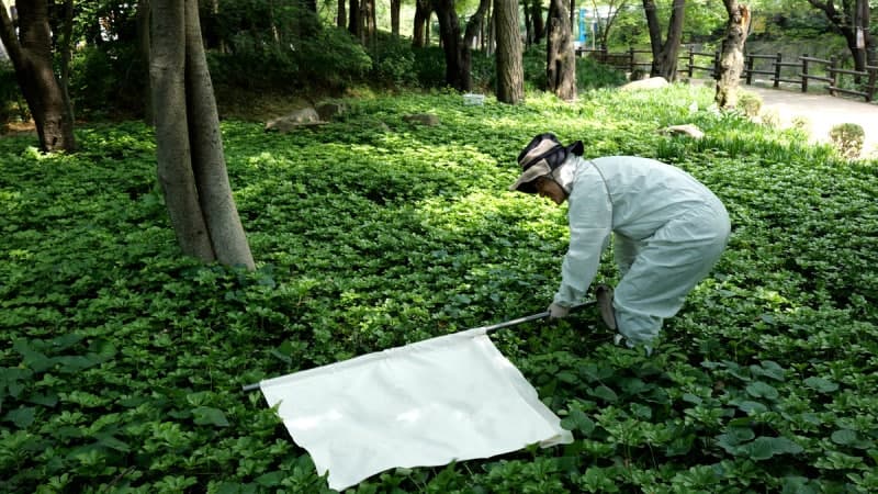 서울시, 가을철 도심공원 진드기 집중 감시…SFTS 바이러스 미검출