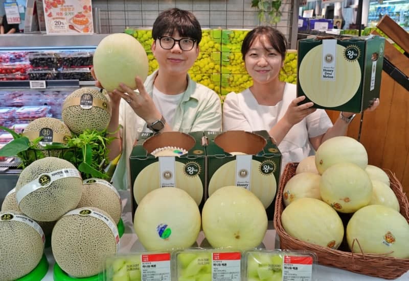 롯데마트, 대형마트 최초 3.2kg '허니듀 킹메론' 3주간 한정 판매