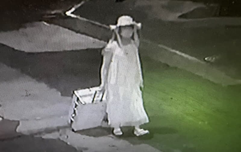 “사형 있는 중국으로 넘겨라”…유학생 살해한 30대 강사에 中 '분노'