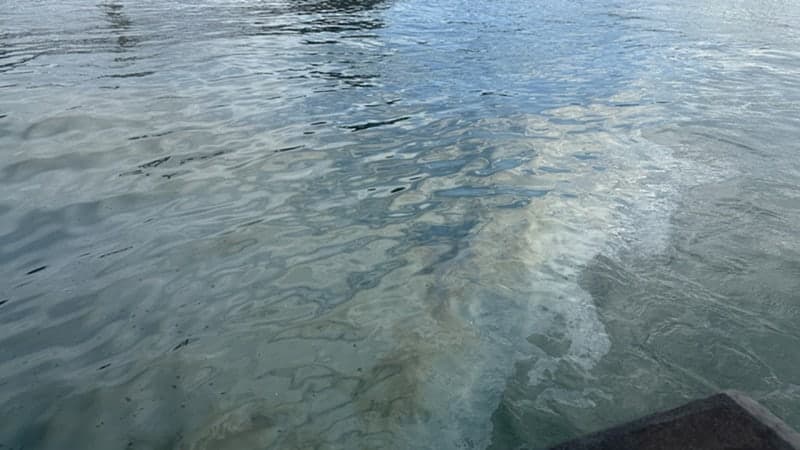 군산 장자대교 인근 해상 1km 기름띠 발생…해경 유출 경위 조사 착수