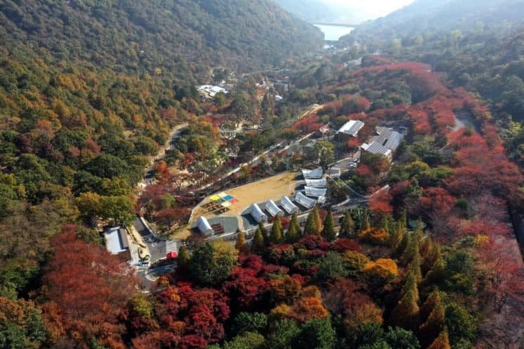 월아산 숲속의 진주 연간 방문객 100만 명 돌파…지방정원 등록 효과 톡톡